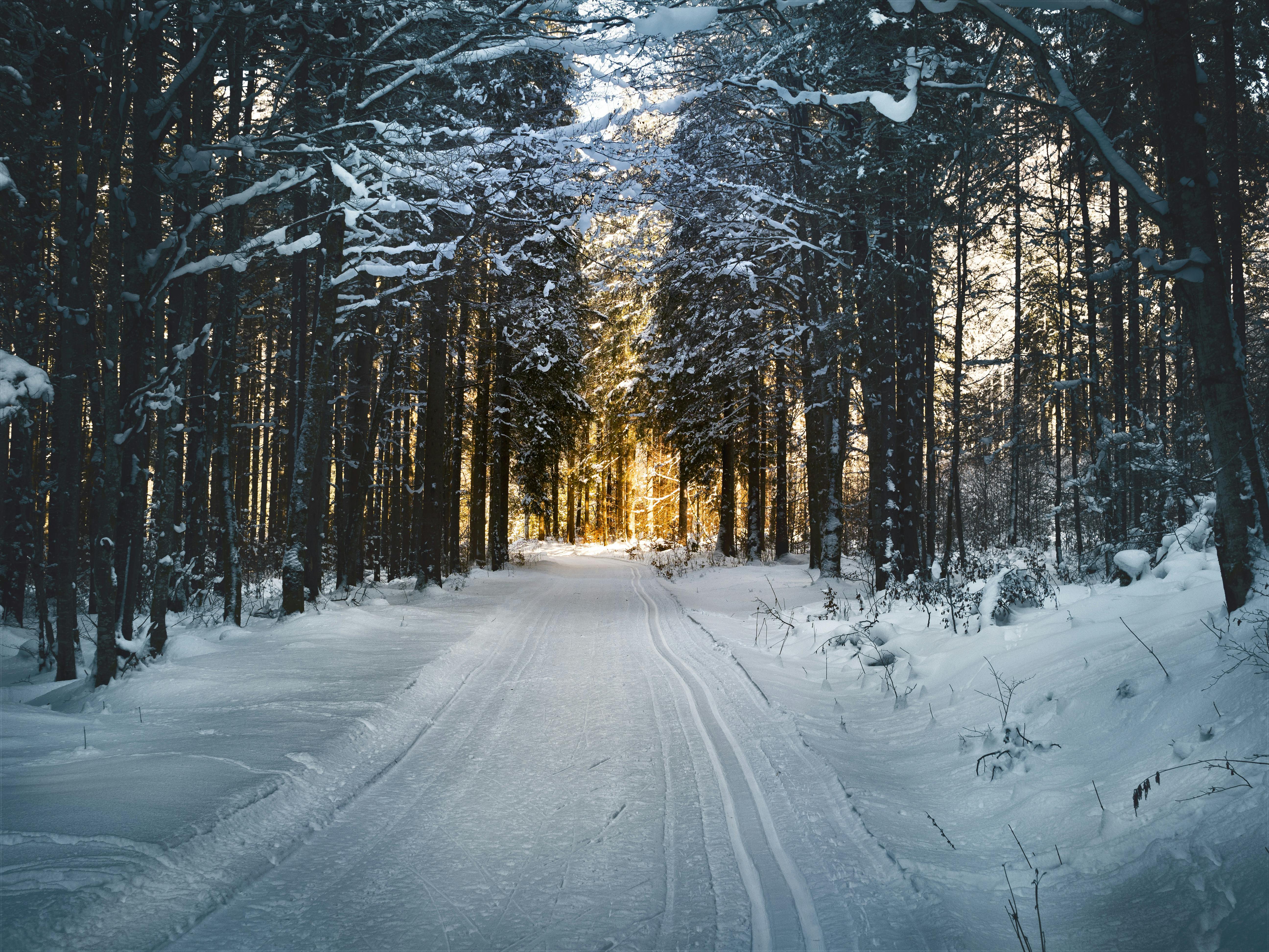 road in Courchevel